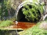 FOG and storm drain